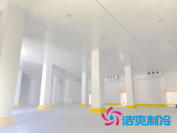 1000立方泡芙APP短视频的建设费用大概需要多少钱？-泡芙视频官网下载免费制冷