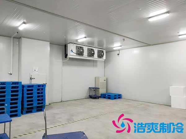 宁夏酒店单温泡芙APP短视频安装厂家-泡芙视频官网下载免费制冷