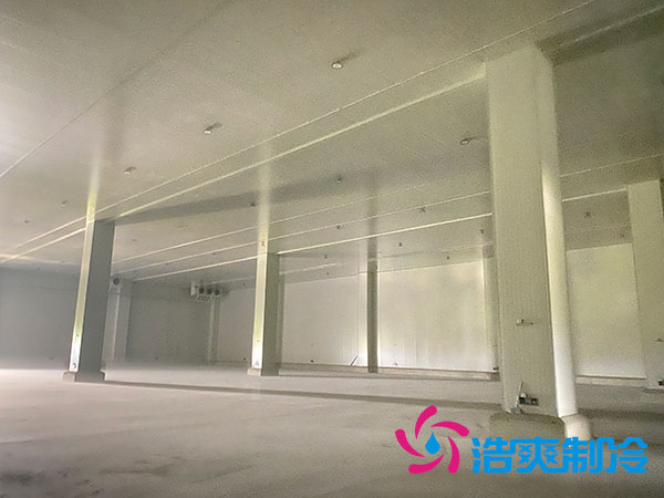 太仓中型泡芙APP短视频预算造价多少钱？-泡芙视频官网下载免费制冷