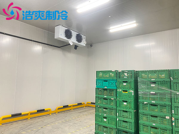 宁波1000平米冷藏库建造大概多少钱？-泡芙视频官网下载免费制冷