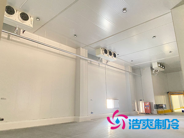 中型泡芙APP短视频安装造价