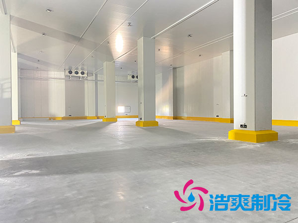 吴江泡芙APP短视频安装价格
