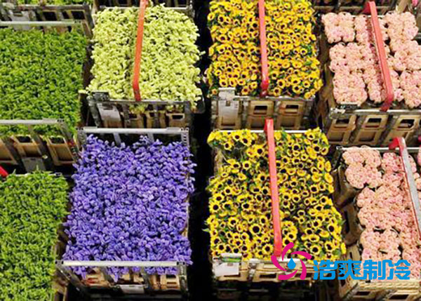 花卉泡芙APP短视频安装预算造价多少钱？-泡芙视频官网下载免费制冷
