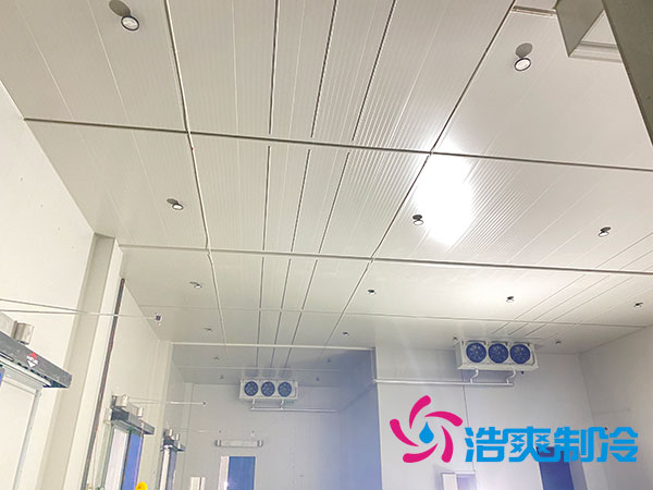 太仓泡芙APP短视频价格多少钱一平方？-泡芙视频官网下载免费制冷