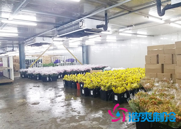 做个鲜花泡芙APP短视频要多少钱？-泡芙视频官网下载免费制冷