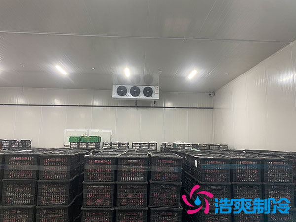 水果泡芙APP短视频造价多少钱