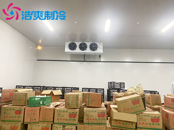 水果泡芙APP短视频造价多少钱