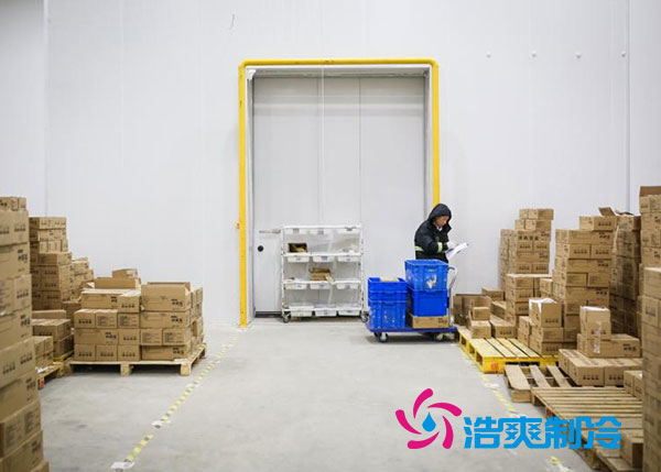 肇庆雪糕泡芙APP短视频安装厂家报价多少钱？-泡芙视频官网下载免费制冷