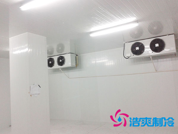 珠海雪糕泡芙APP短视频安装哪里买？-泡芙视频官网下载免费制冷