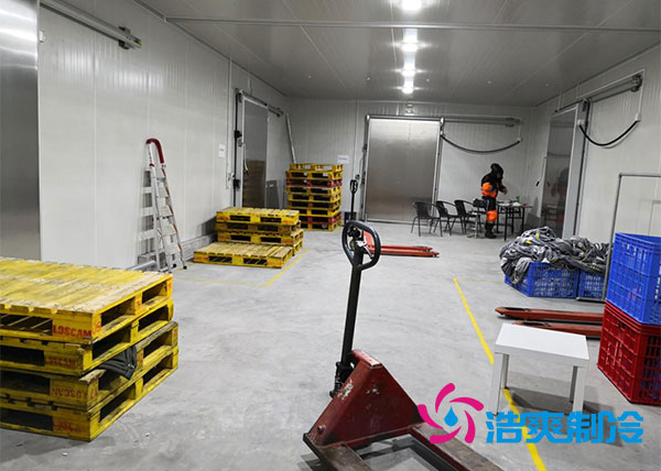 肇庆雪糕泡芙APP短视频安装公司-泡芙视频官网下载免费制冷