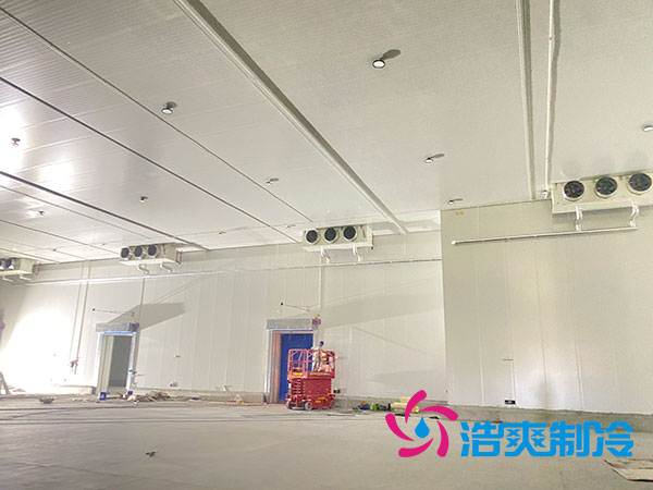 大型水果泡芙APP短视频造价多少钱一平方？-泡芙视频官网下载免费制冷