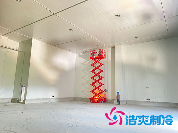 大型水果泡芙APP短视频造价多少钱一平方？-泡芙视频官网下载免费制冷