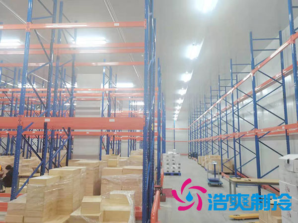 衡阳生鲜物流泡芙APP短视频工程安装造价多少钱？