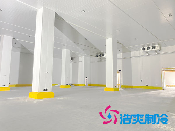 湖南蔬菜物流泡芙APP短视频造价安装费用多少钱？-泡芙视频官网下载免费制冷