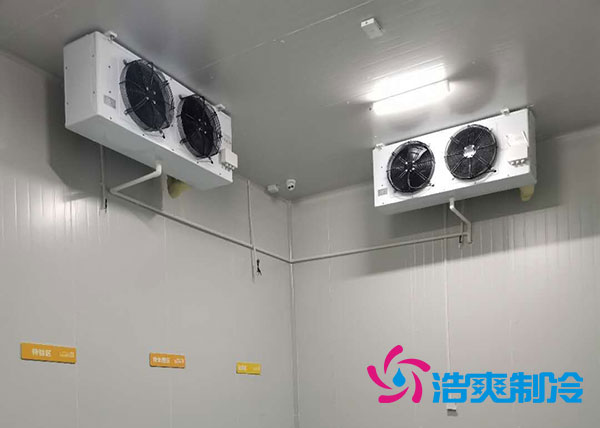 衡阳大型水果泡芙APP短视频造价多少钱一平方？-泡芙视频官网下载免费制冷