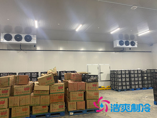 衡阳大型水果泡芙APP短视频造价多少钱一平方？-泡芙视频官网下载免费制冷