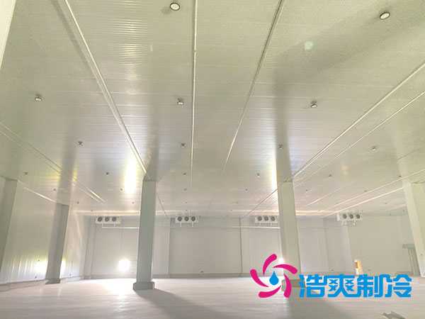 江西低温食品泡芙APP短视频建造公司-泡芙视频官网下载免费制冷