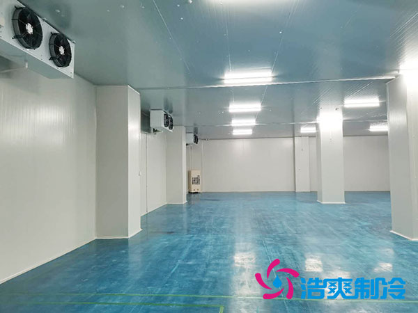 江西水产品泡芙APP短视频设计多少钱及费用分析