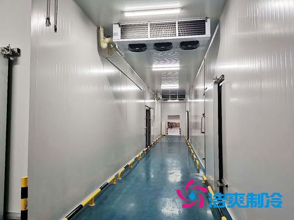 江西水产品泡芙APP短视频设计多少钱及费用分析