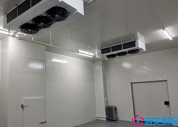 冷链食品加工中心泡芙APP短视频