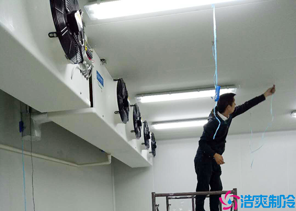 水果保鲜泡芙APP短视频
