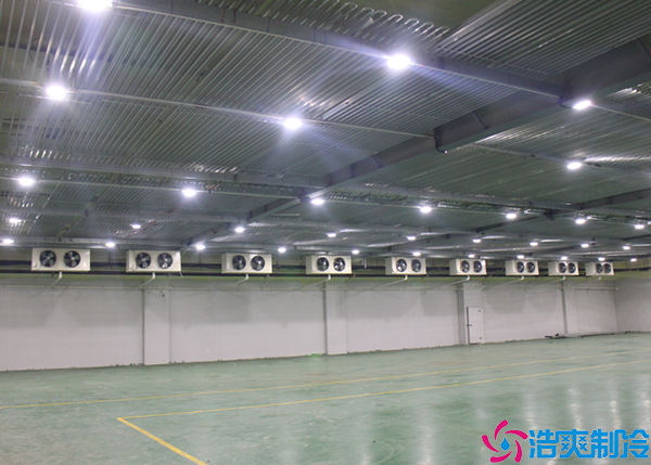 综合物流泡芙APP短视频