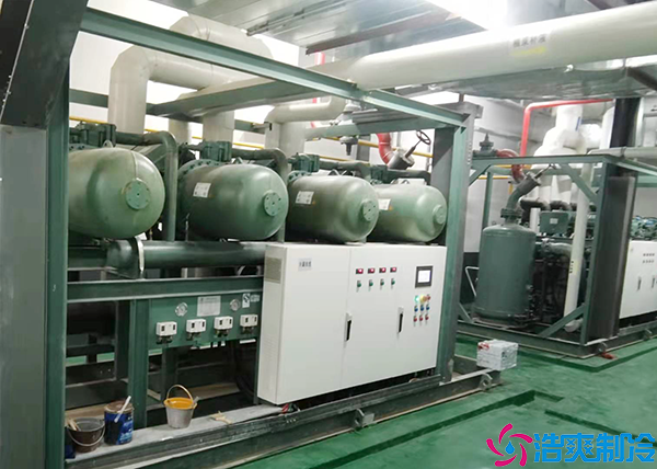 综合物流泡芙APP短视频