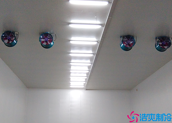 泡芙APP短视频建设