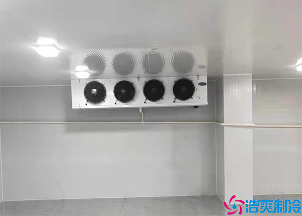 气调泡芙APP短视频