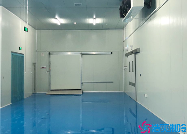 泡芙APP短视频建造