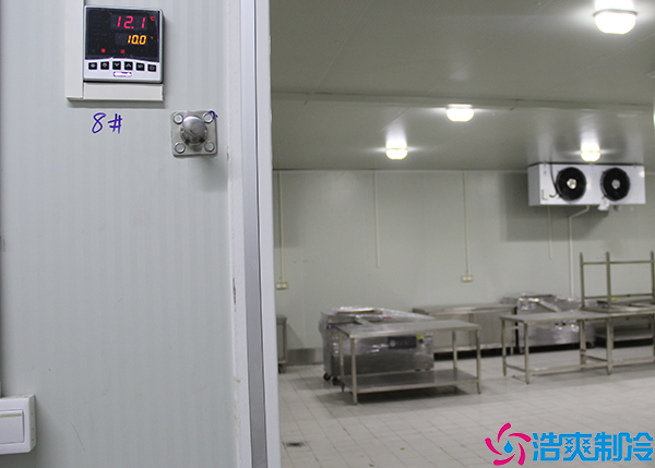 物流泡芙APP短视频