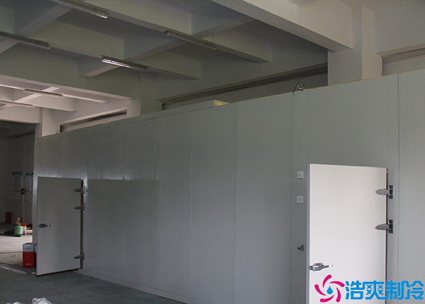 物流泡芙APP短视频