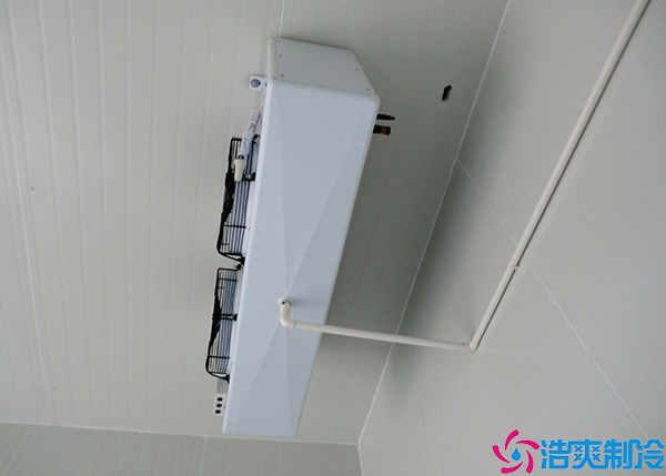 泡芙APP短视频安装