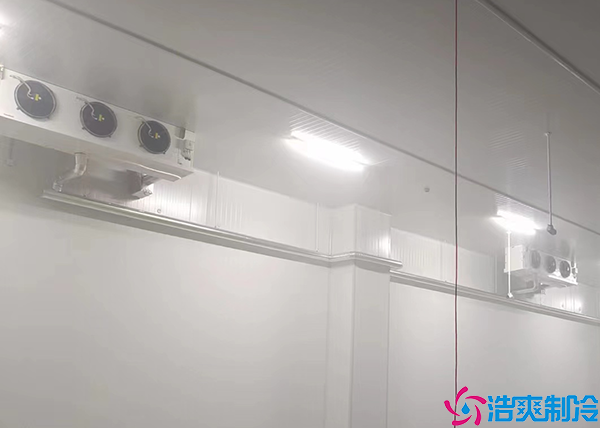 移动泡芙APP短视频