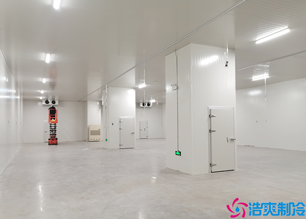 移动泡芙APP短视频