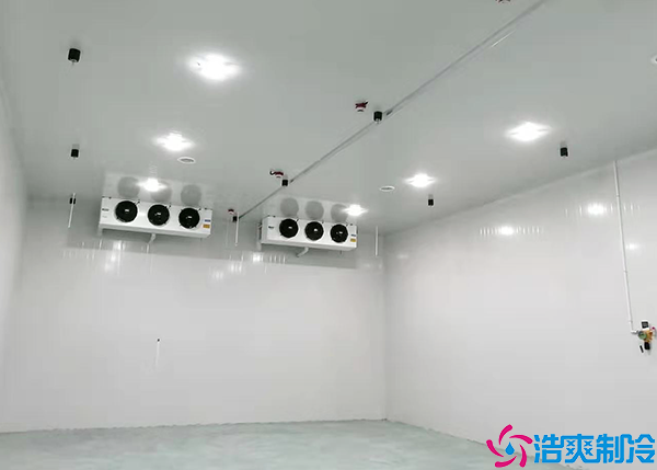 单温泡芙APP短视频