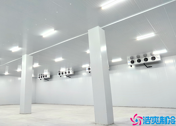 泡芙APP短视频建造