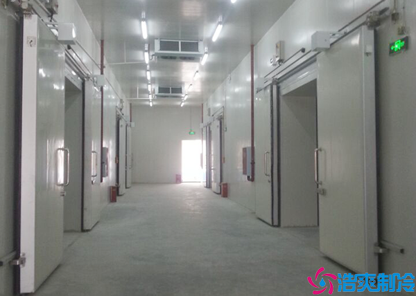 低温食品泡芙APP短视频