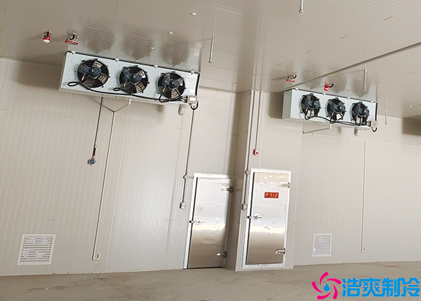 低温食品泡芙APP短视频