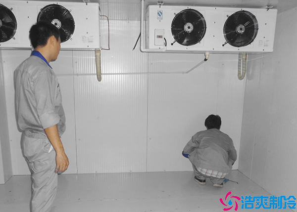 食品泡芙APP短视频