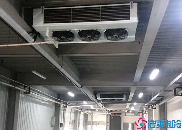 酒店单温泡芙APP短视频