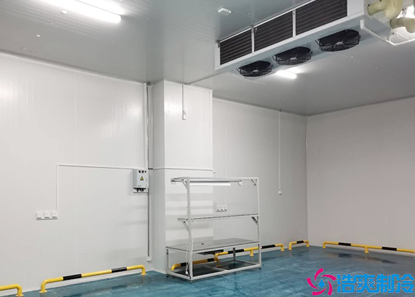 大型生鲜泡芙APP短视频