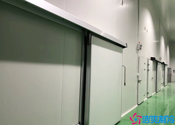 玉米加工厂泡芙APP短视频
