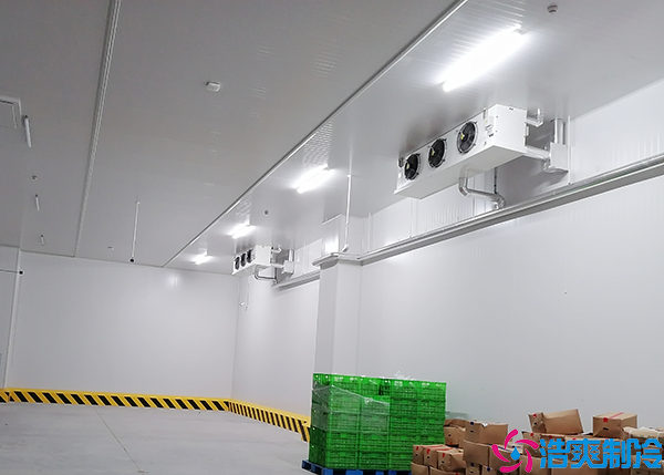 冷链物流泡芙APP短视频