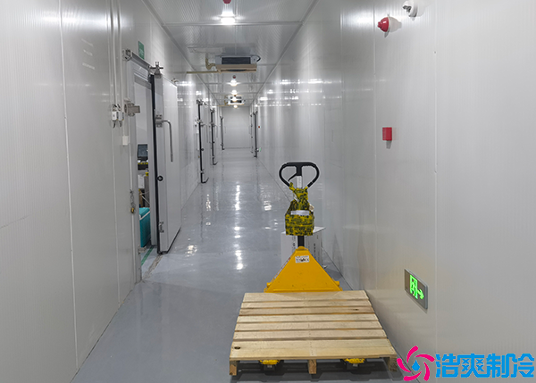 鸡蛋保鲜泡芙APP短视频