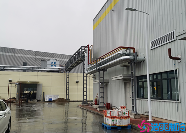 果蔬保鲜泡芙APP短视频