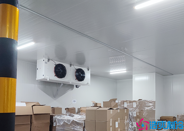 生鲜物流泡芙APP短视频