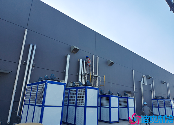 大型酒店泡芙APP短视频