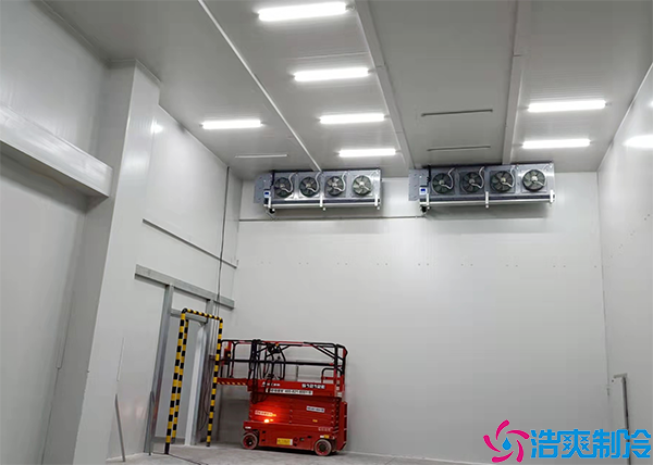 低温速冻泡芙APP短视频