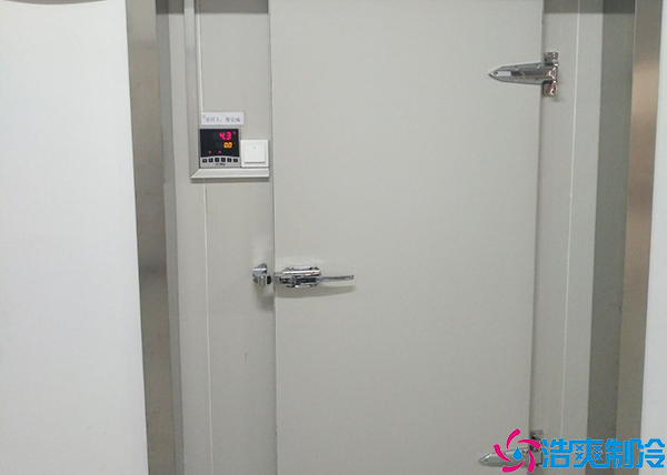 牛肉小型泡芙APP短视频